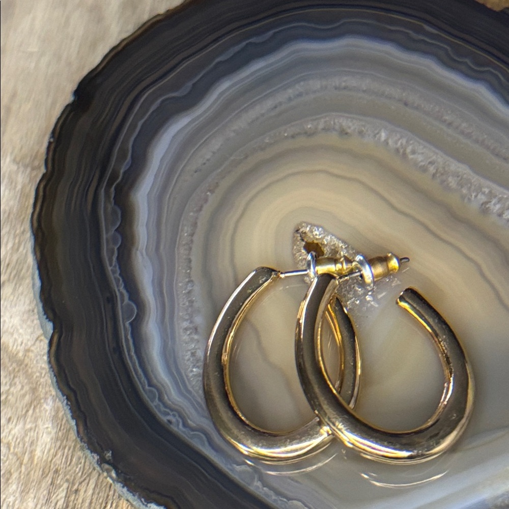 NWT Oval Bubble Shaped Hoop Earrings